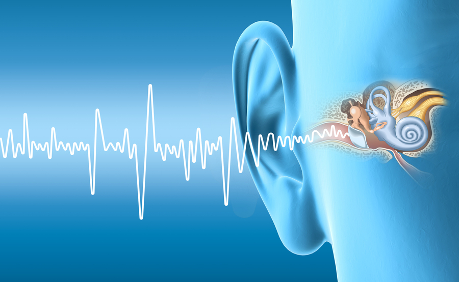 Ear Anatomy with soundwaves